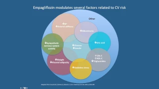 Should a Cariologist Prescribe the New SGLT-2 Diabetes Medications? by Amel Arnaout