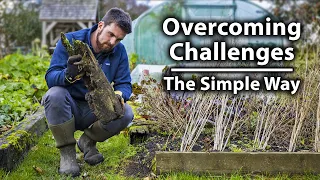 How to Tackle Problems in the Vegetable Garden | Ultimate Gardening Skills Series
