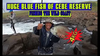 EP65|| WILD COAST  ADVENTURE || HOW TO CATCH BLUEFISH /BRONZE BREAM || CEBE RESERVE ADVENTURE...