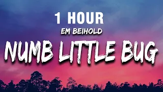 [1 HOUR] Em Beihold - Numb Little Bug (Lyrics) “do you ever get a little bit tired of life”