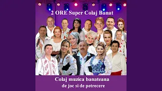 2 ORE super colaj Banat (feat. Florin Ionas Generalul) (Muzica Din Banat, Colaj muzica...