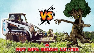 Old Skidsteer + Brush Cutter VS Trees--Is it Worth It?