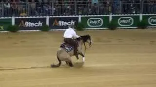 HF Mobster Individual Run at the 2014 World Equestrian Games in Normandy, France