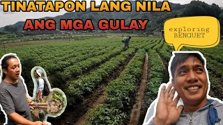 EP320: Exploring Benguet | Tinatapon Na Lang ang mga Gulay Dito
