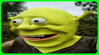 Shrek explained by an idiot