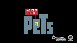 The Secret Life Of Pets 🐶🐱Intro