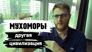 Мухоморы / Мы для них личинки...