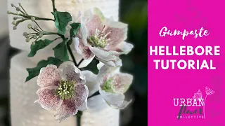 Gumpaste / Sugar Hellebore Tutorial