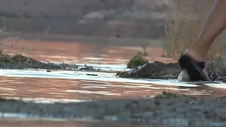 Lake visitors shaken by brain eating amoeba death of local boy