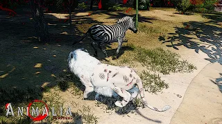 Elder Lion's Last Hunt - Animalia Survival