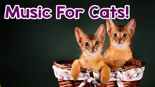 Cat Music: 15 Hours! Help Calm Your Kitten Down! Relaxing Music for this Stressed Cats!