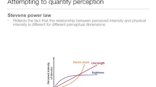 Perception: 1.6 Laws and Theories