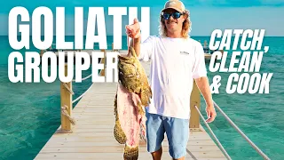 ILLEGAL Goliath Grouper Harvest (Catch, Clean & Cook)