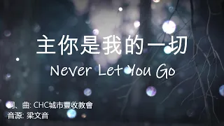 主你是我的一切 Never Let You Go 中英歌詞+拼音