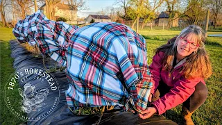 Garden Emergency | $3 Walmart Hack To Save Your Crops