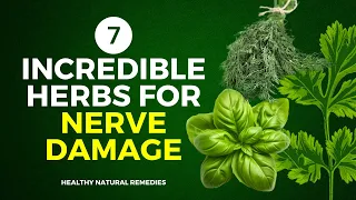 7 Incredible Herbs For Nerve Damage (Prevent Neuropathy)