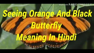 Seeing Orange And Black Butterfly Meaning In Hindi