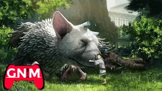 "GMV" the last guardian - Imagine dragons - Birds