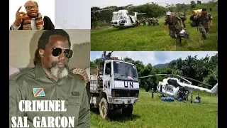 31/01:AU TRIANGLE DE LA MORT, LA MONUSCO ET L' HCR COMPLICES DES FAUX ADF