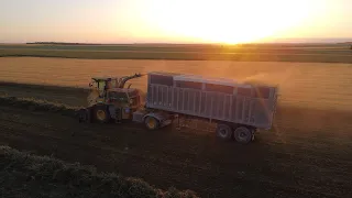 Ensilage de luzerne XL CMC 5800/ Fendt 818 & ROC RT 950 !!