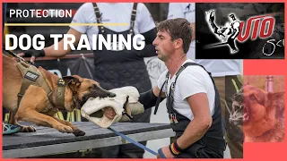 How to train a dog to bite a training sleeve ? Seminars for training dogs with Viorel Scinteie !!!