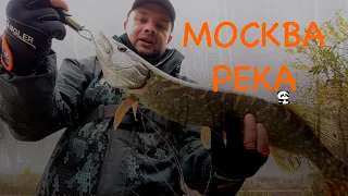 Ловля Щуки на Москва реке | Shimano TwinPower