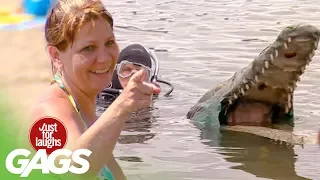 Canadian Crocodile Attack