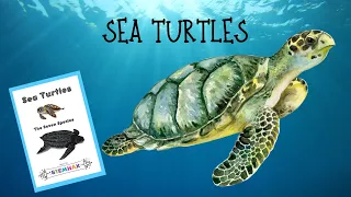 Sea Turtles - Read Aloud Simple Science Facts for Kids