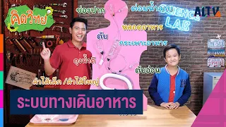 ระบบทางเดินอาหาร : คิดวิทย์ (3 พ.ย. 63)