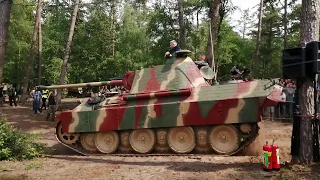 Panther starting at Militracks 2019