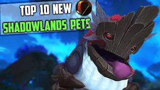 Top 10 New Hunter Pets Tamable in Shadowlands Zones WoW