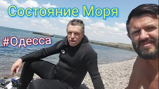 Пробы Моря Одессы. Интервью Инженера Морской Биологии