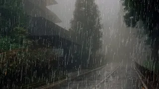 Sonido de Lluvia y Truenos para Dormir Profundamente - Lluvia Relajante en Bosque Brumoso