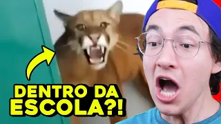 TINHA QUE SER NO BRASIL, NÉ?! | Dearo e Manu