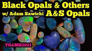 Black Opal w/ Adam Sawicki of A&S Opals Tucson Gemshow 2021