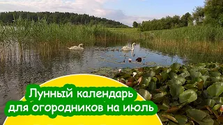 Лунный календарь для огородников на июль 2021 года для Беларуси