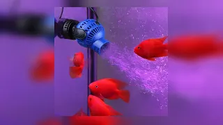 Wave maker for aquarium