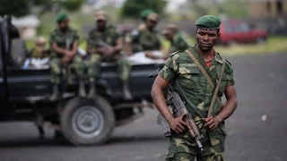 RDC : Nord-Kivu, une guerre oubliée ?