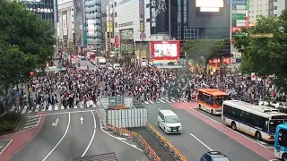 Shibuya crossing. Must watch Japan Tokyo