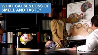 What Causes Loss of Smell and Taste?