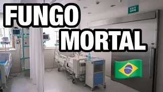 FUNGO MORTAL: O que é Candida auris,fungo que fechou hospital no Brasil! Resistente aos antifúngicos