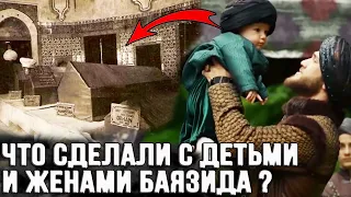 Что сделали с детьми и женами Баязида после его казни?