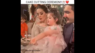 Amal Muneeb cutting cake with Minal khan on walima ceremony