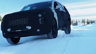 Hyundai PALISADE - Snow Mode Test
