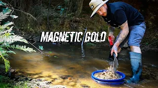 You Can Find GOLD With a Magnet!