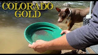 Gold Prospecting in Colorado - South Boulder Creek Gold!