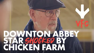 Downton Abbey Star Shocked by UK Chicken Farm