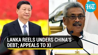 Watch: Crisis-hit Sri Lanka pleads China to restructure its debt repayments | All you need to know