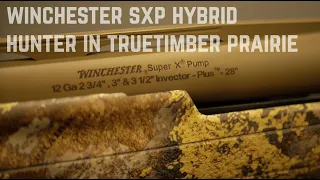 Winchester SXP Hybrid Hunter in TrueTimber NEW Prairie Camo