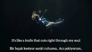 Paloma Faith - Only Love Can Hurt Like This (Türkçe Çeviri) Lyrics